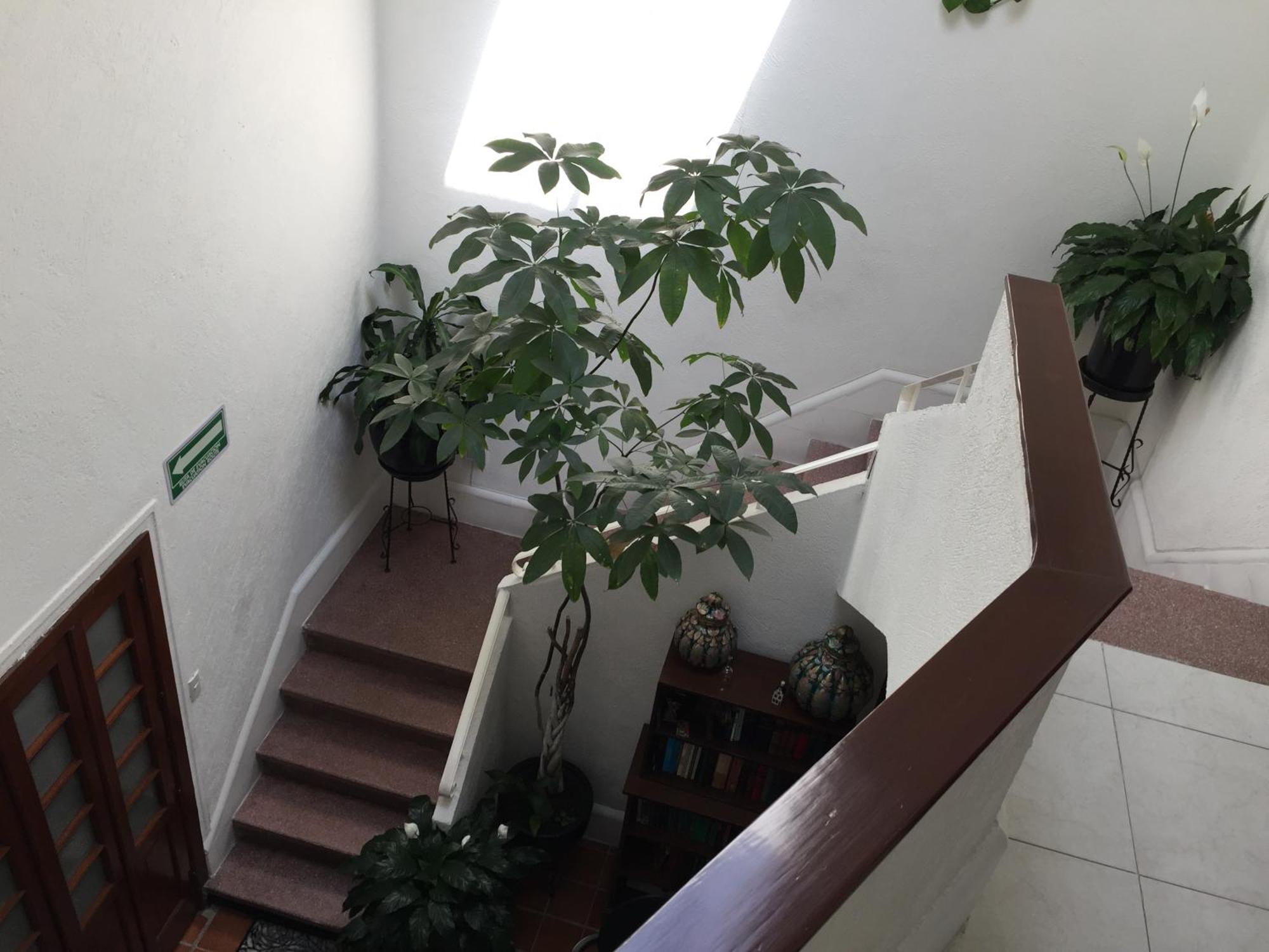 Casa Maria Elena Condesa (Adults Only) Hotel Mexico City Exterior photo